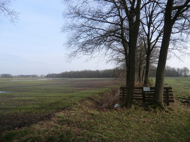 Het verwaarloosde pad naar de Kooiplas van Vriezenveen in 2011 